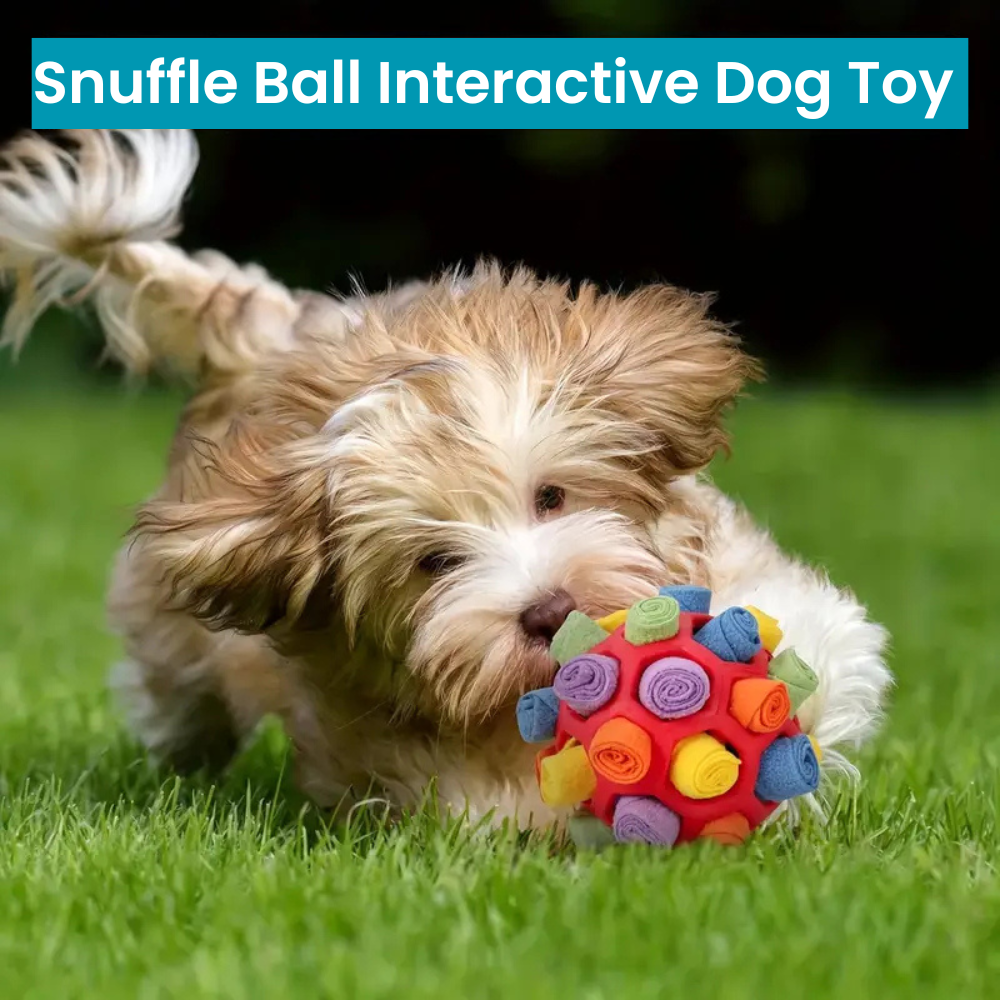 SnuffleBuddy - Interactive Dog Toy