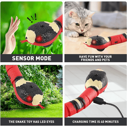 Snakey™ - Interactive Cat Toy - Wellness Buddy