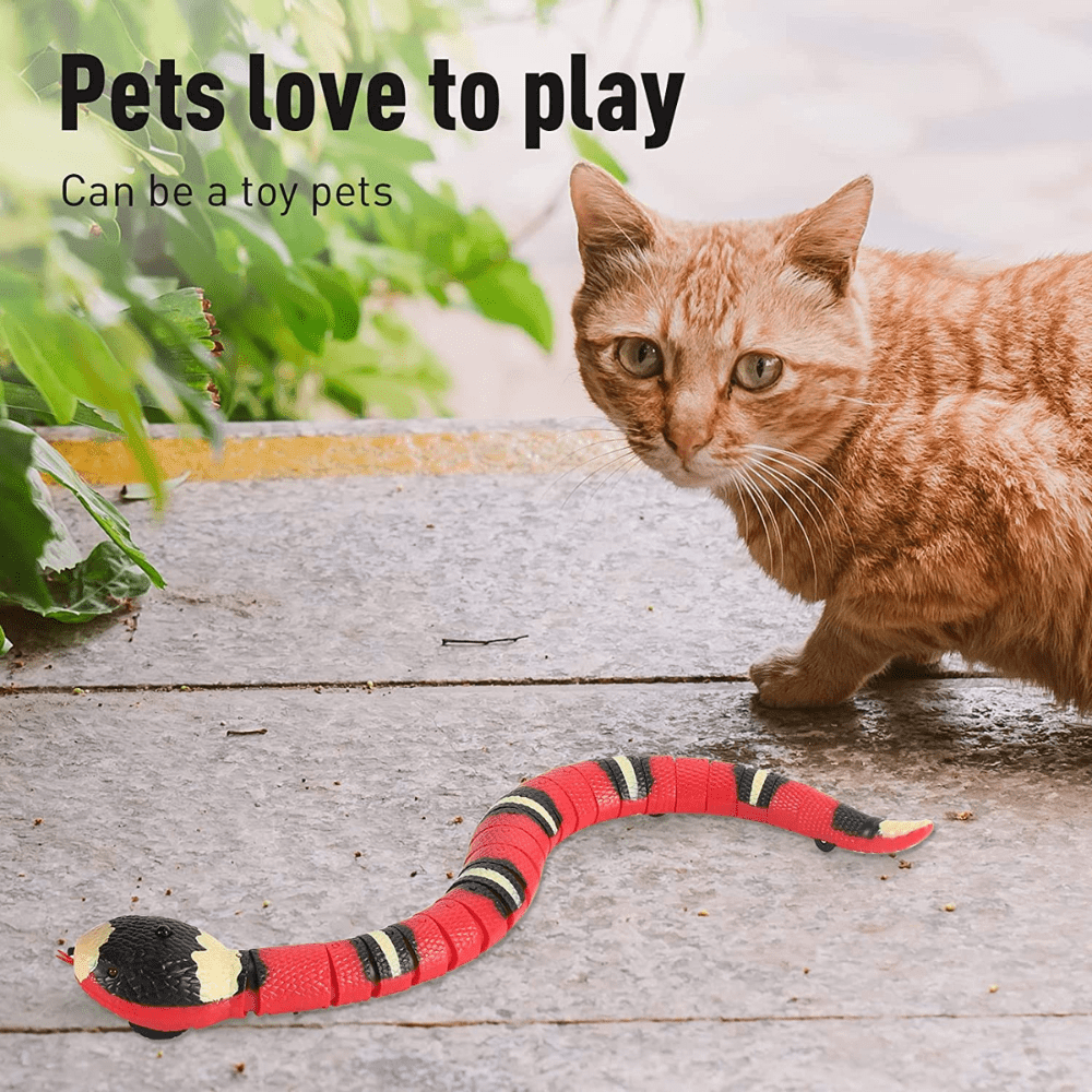 Snakey™ - Interactive Cat Toy - Wellness Buddy