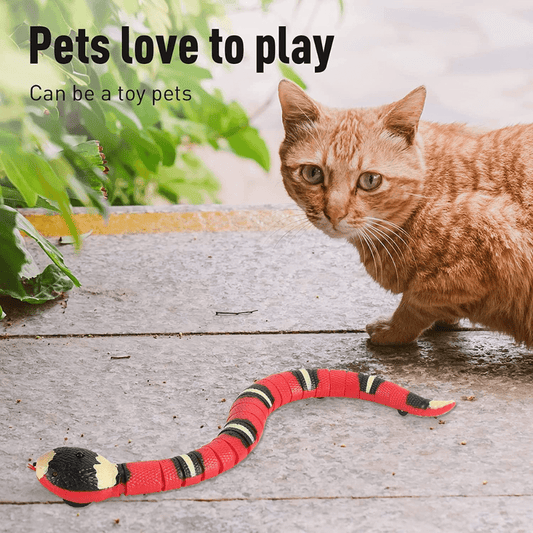 Snakey™ - Interactive Cat Toy - Wellness Buddy