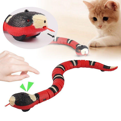 Snakey™ - Interactive Cat Toy - Wellness Buddy