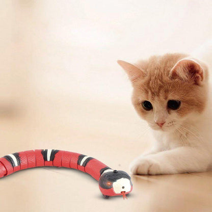 Snakey™ - Interactive Cat Toy - Wellness Buddy