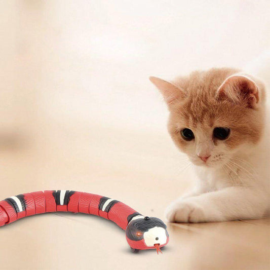 Snakey™ - Interactive Cat Toy - Wellness Buddy