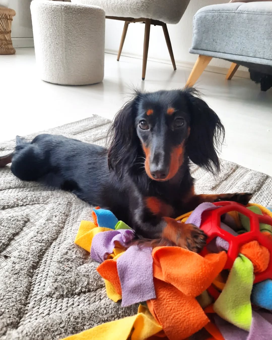 SnuffleBuddy - Interactive Dog Toy